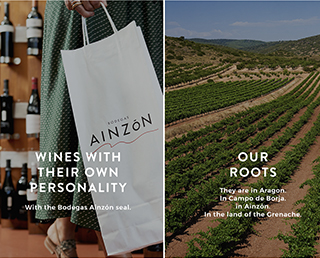 Bodegas Ainzon Wines with their own personality